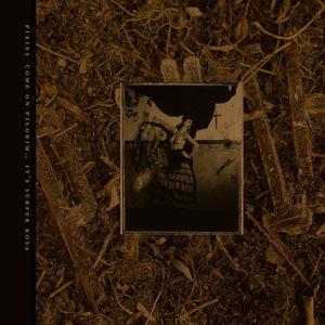 Pixies ‎– Come On Pilgrim... It's Surfer Rosa