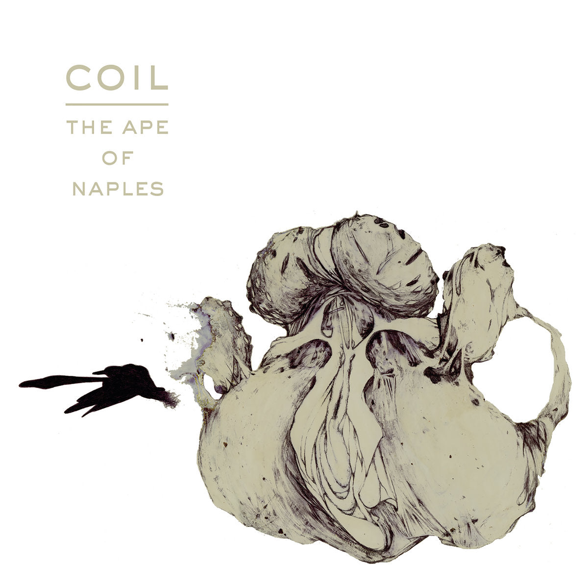 Coil ‎– The Ape Of Naples