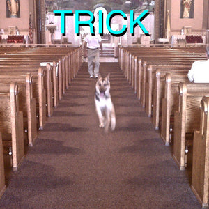 Alex G – Trick