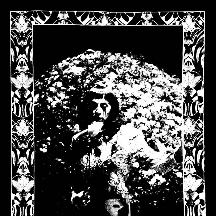 Cindy Lee – Model Express