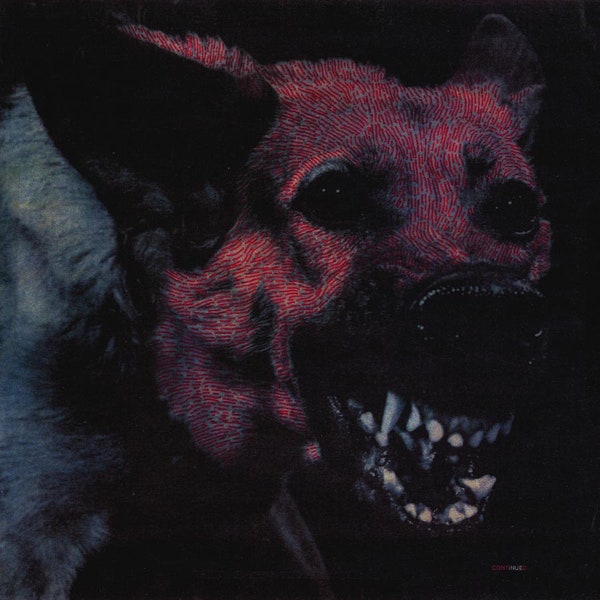 Protomartyr ‎– Under Color Of Official Right