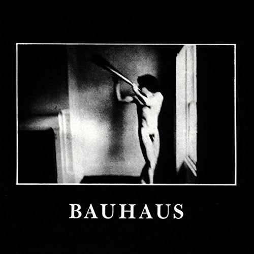 Bauhaus ‎– In The Flat Field
