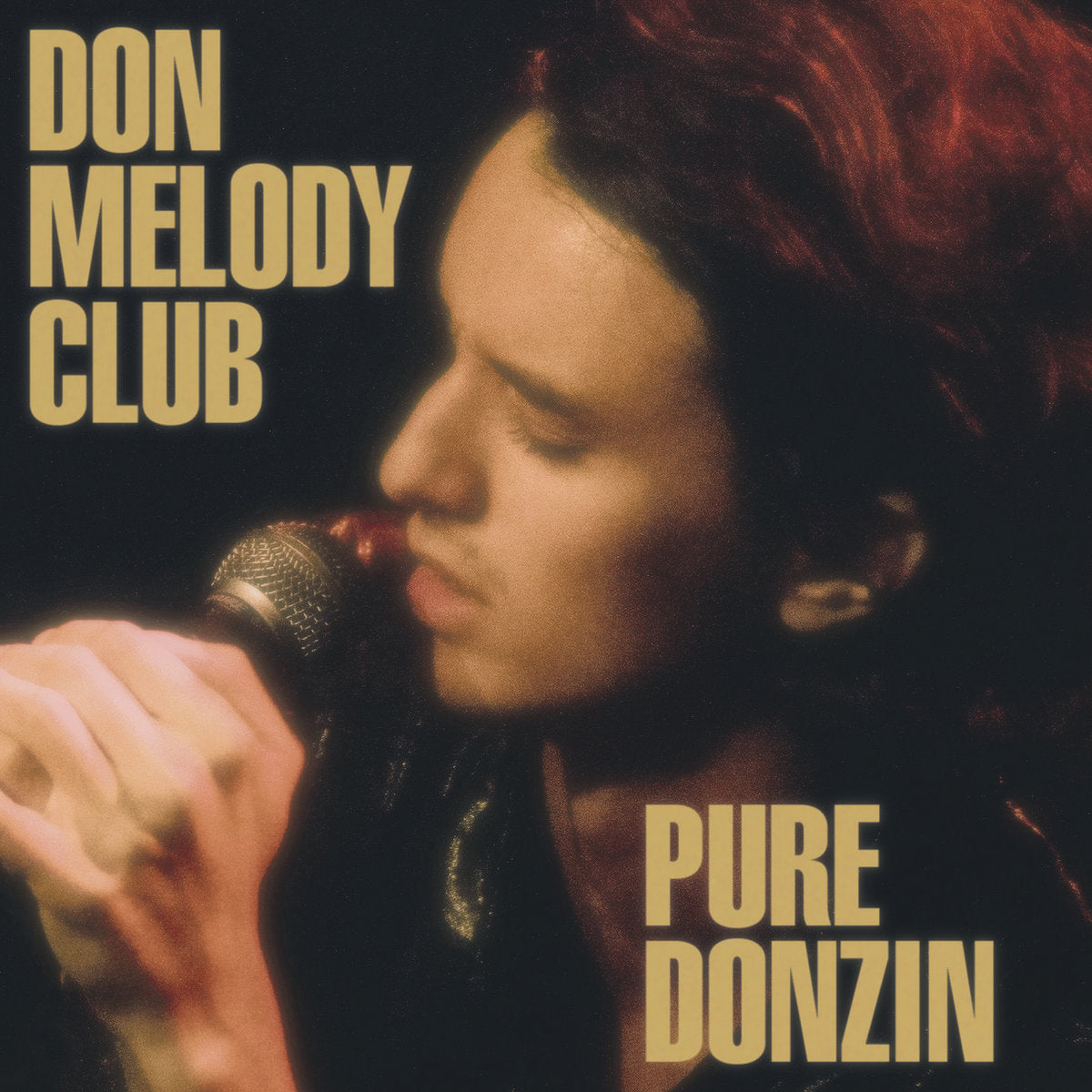Don Melody Club ‎– Pure Donzin