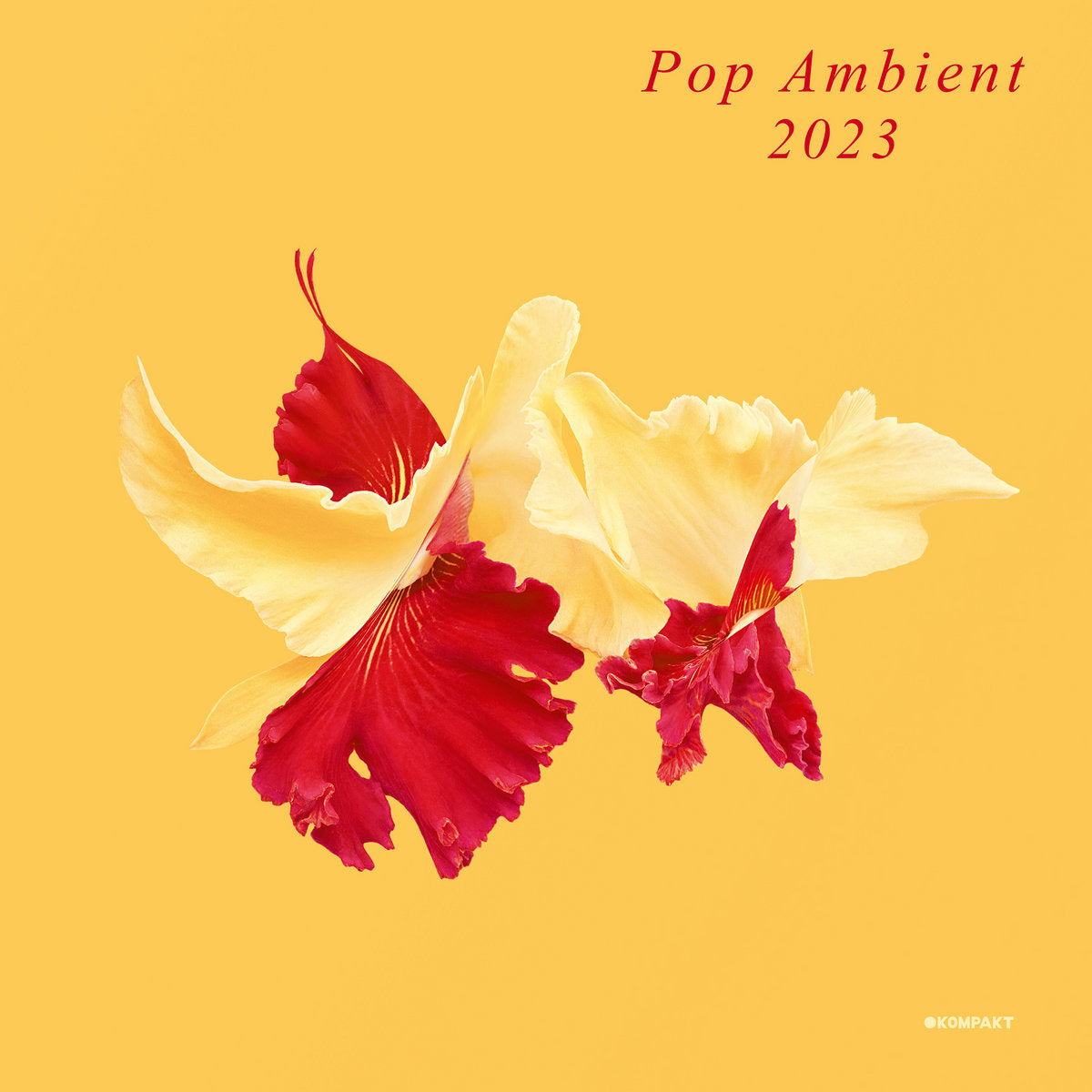 Various ‎– Pop Ambient 2023