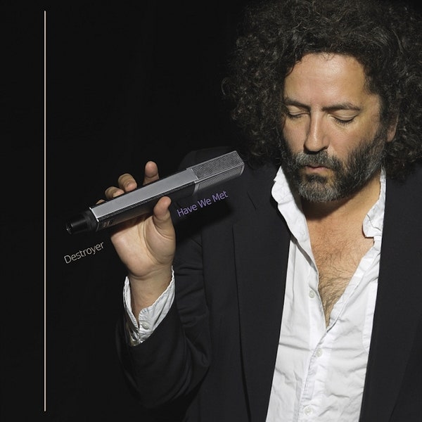 Destroyer ‎– Have We Met
